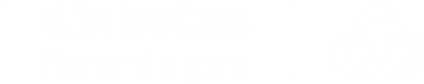 Danish Diabetes Association